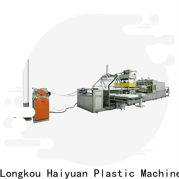 Haiyuan absorbent disposable dish making machine factory for take away food